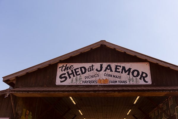 Road Trip from Atlanta to Asheville (and all the stops along the way)