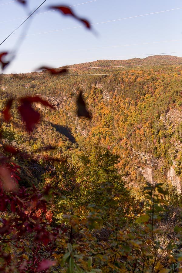 Road Trip from Atlanta to Asheville (and all the stops along the way)