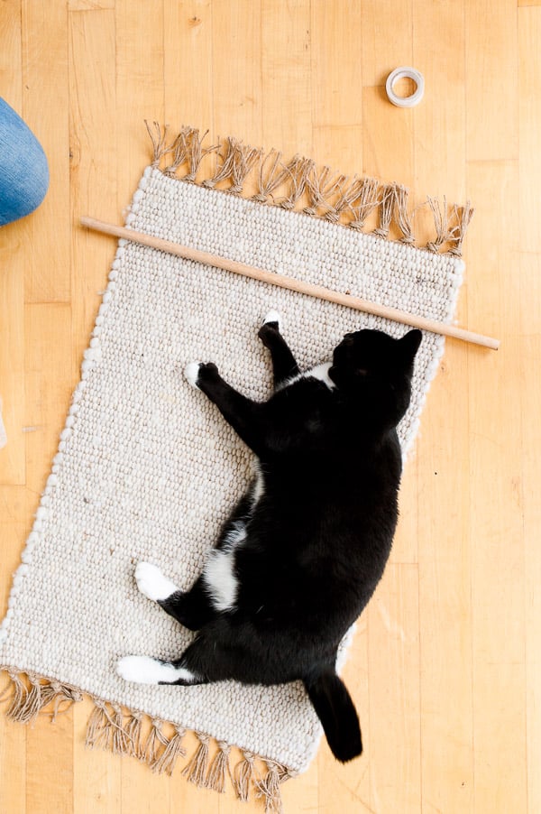 A cat that likes to DIY - behind the scenes with Paper & Stitch.