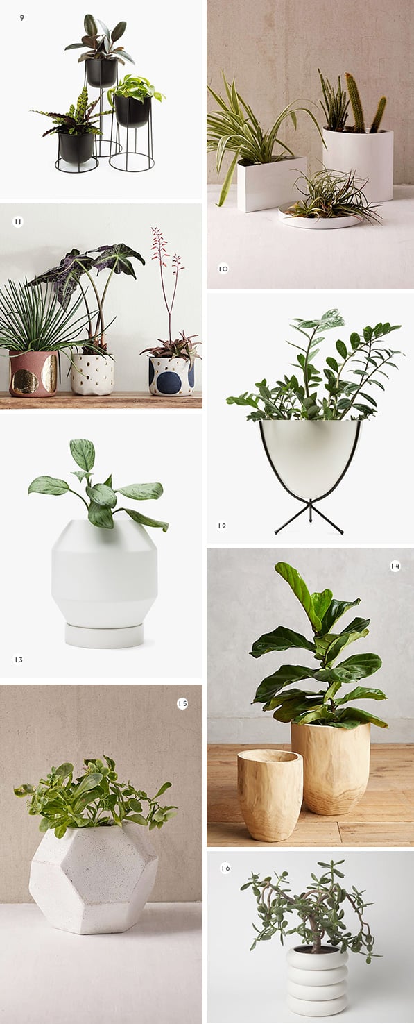16 Drool-Worthy Planters for Spring / Summer