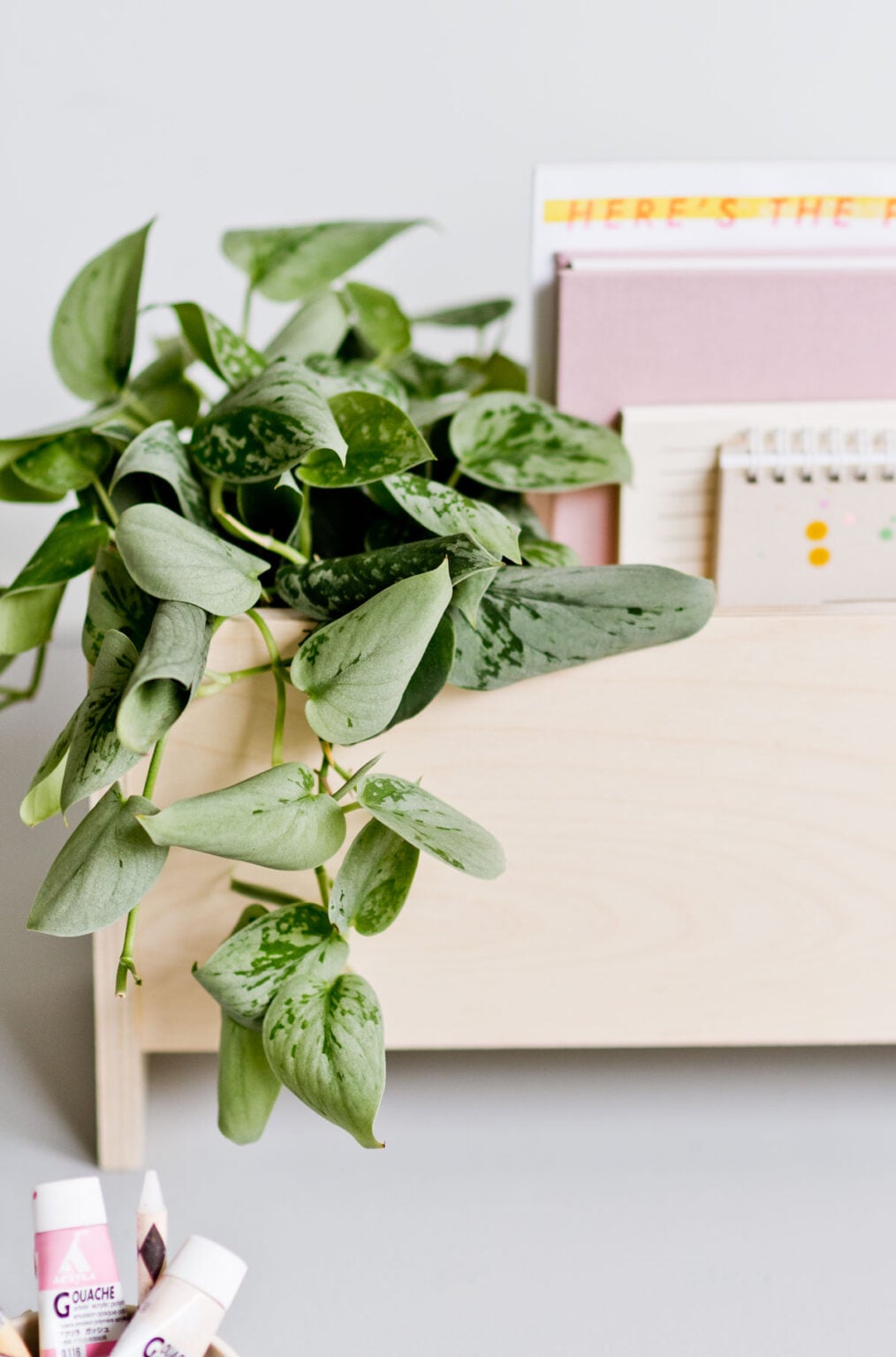 How to Make a Wooden Desk Organizer (DIY)