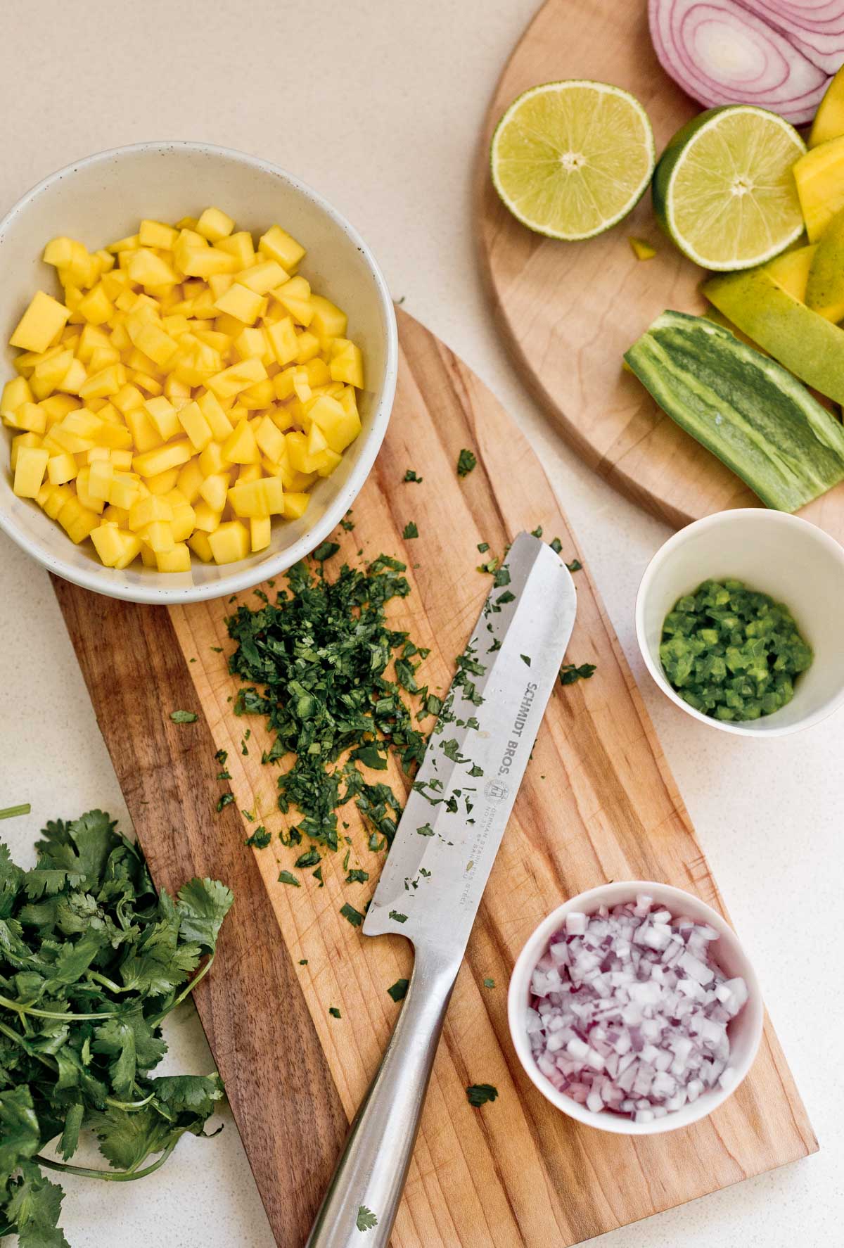 ingredients to make mango salsa