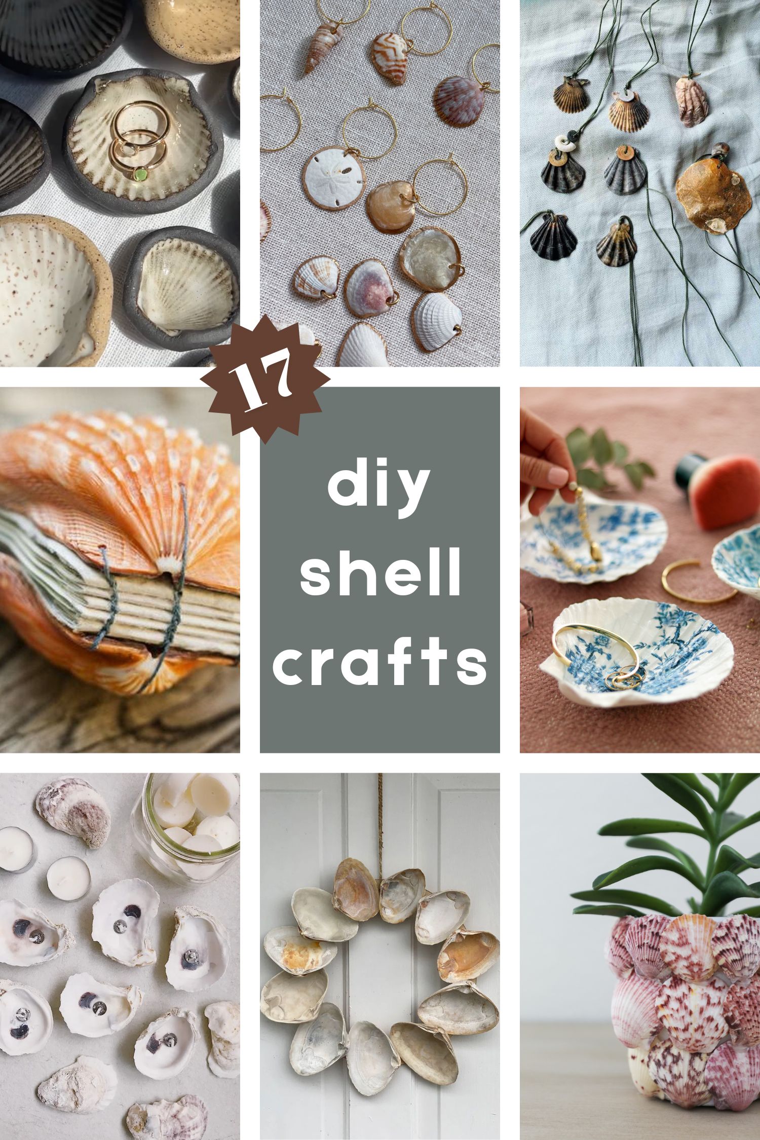 seashell diy craft ideas roundup