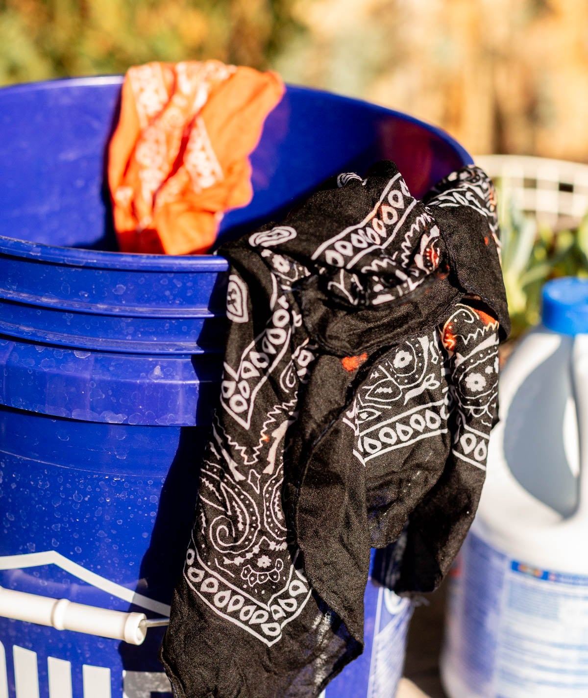black bandana in a bucket with bleach to dye it a new color